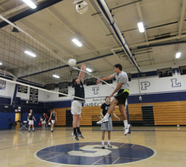 Bump, Set, Spike The Boys: Volleyball Team Gears Up For The Upcoming ...