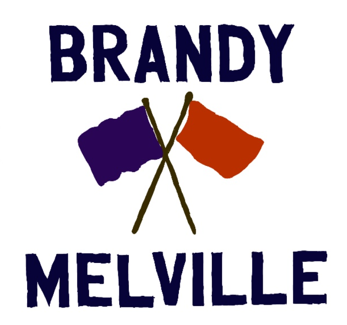 Investigating Brandy Melville's New Sizing! *one size fits most