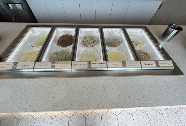 There are many ice cream options, some being extremely unique. Flavors such as honey, lavender and marshmallow, Kneads bread and matcha are different from what most ice cream places serve like chocolate or vanilla. These flavors are what make MOMU so original.