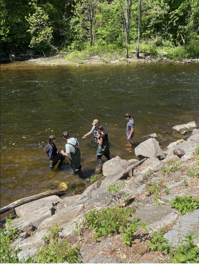 Students in the West Branch Farmington River releasing the salmon they raised throughout the year with fishing nets. 