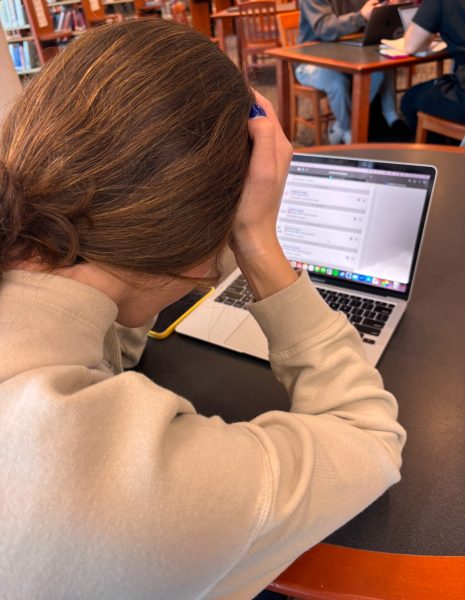 Not so happy holidays: students spend more time stressing over the CommonApp than celebrating the holidays, bringing immense stress to the holiday season. 